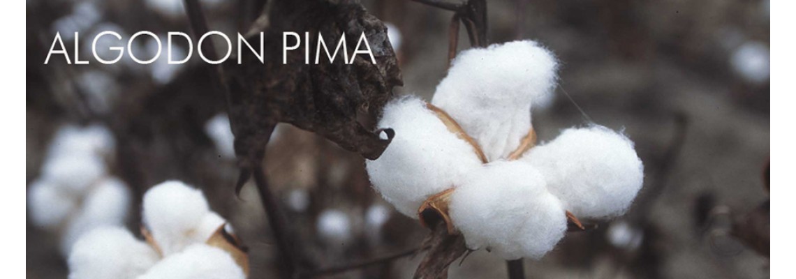 The Invisible Thread Between Peru and the United States