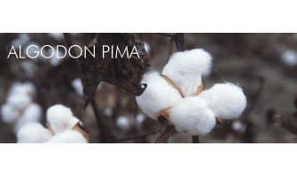 The Invisible Thread Between Peru and the United States